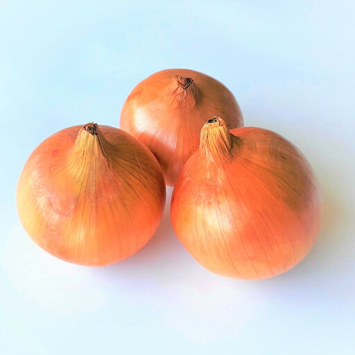 【単品商品】北海道産他 玉ねぎ 玉葱 3玉袋 【単品商品】北海道産他 玉ねぎ 玉葱 3玉袋