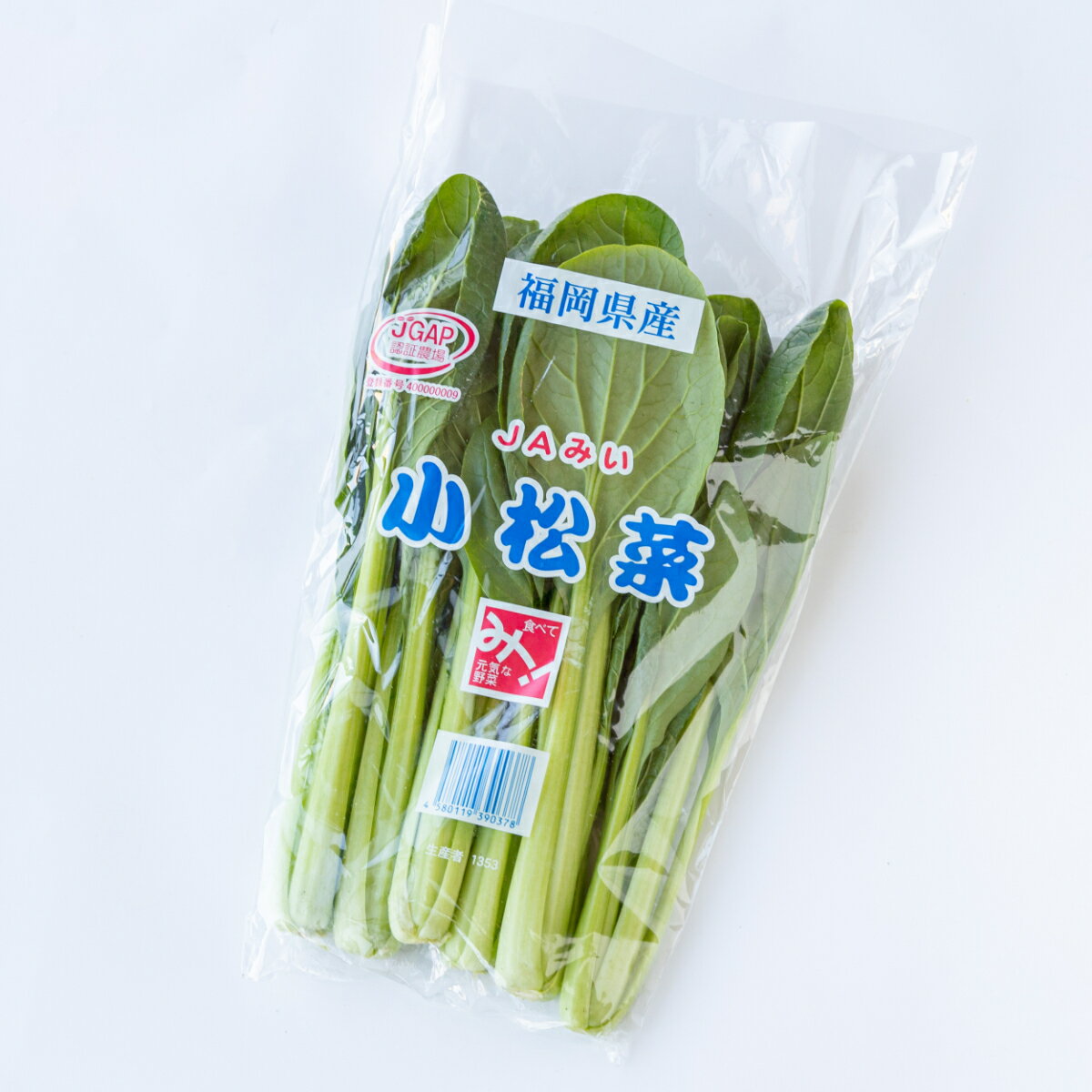 【単品商品】福岡県産他　小松菜　1束