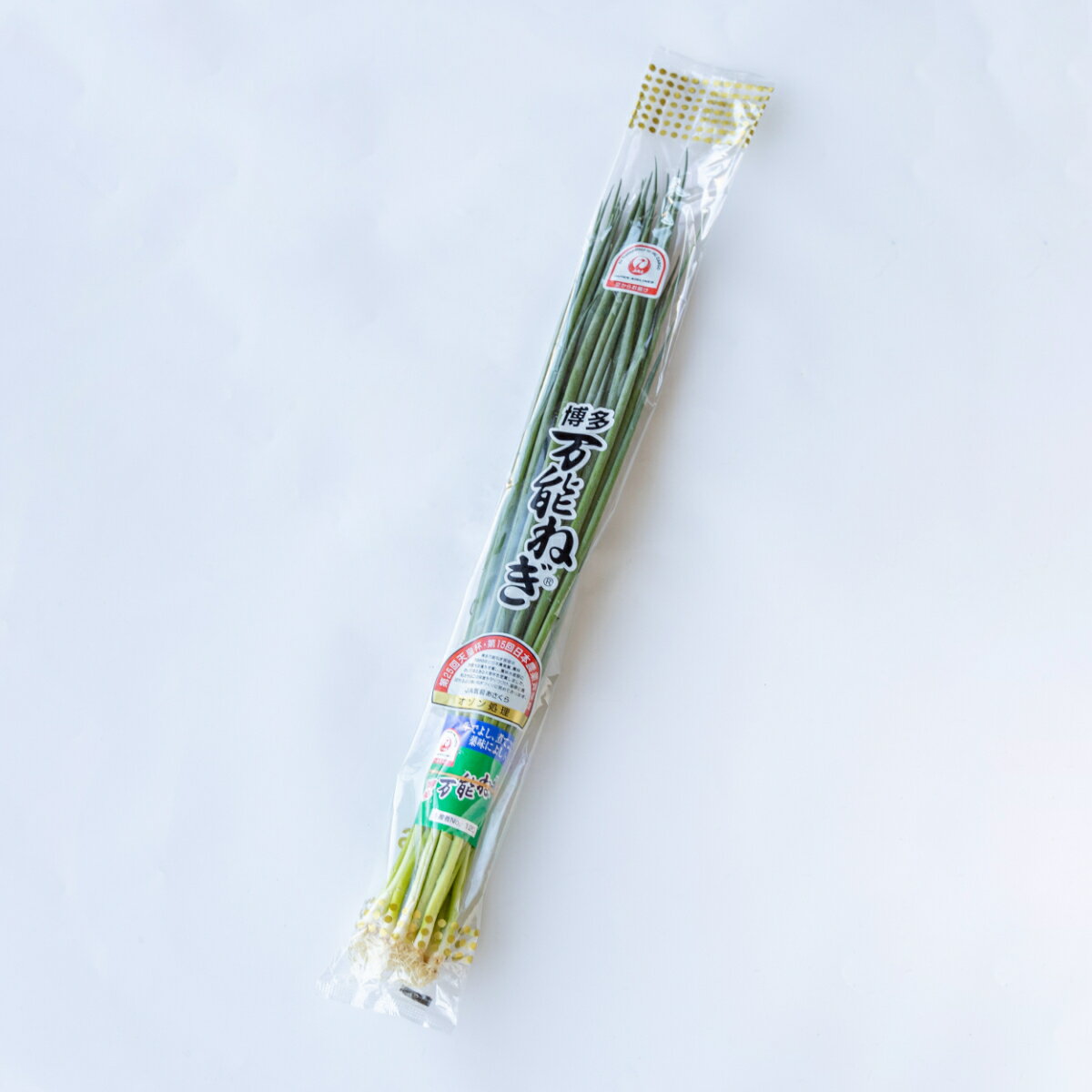 【単品商品】福岡県産他 青ネギ 1束
