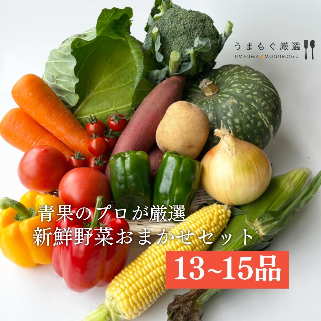 新鮮野菜 旬のおまかせ13品～15品野菜セット 詰め合わせ 仕送り 季節の野菜 冷蔵便 北九州 新鮮 野菜 セット 旬 野菜 おまかせ 野菜セット 13品 15品 厳選 野菜 お試し ギフト グルメ 九州産 国産 冷蔵 産地直送 送料無料