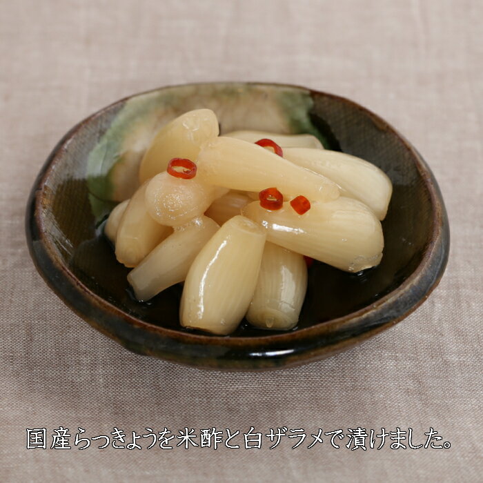 らっきょう本造り 150g 12個セット 漬物 送料無料 らっきょう漬 酢漬け アミノ酸不使用 つけも【店舗内買い回り最大P10倍エントリー】 の 国内産