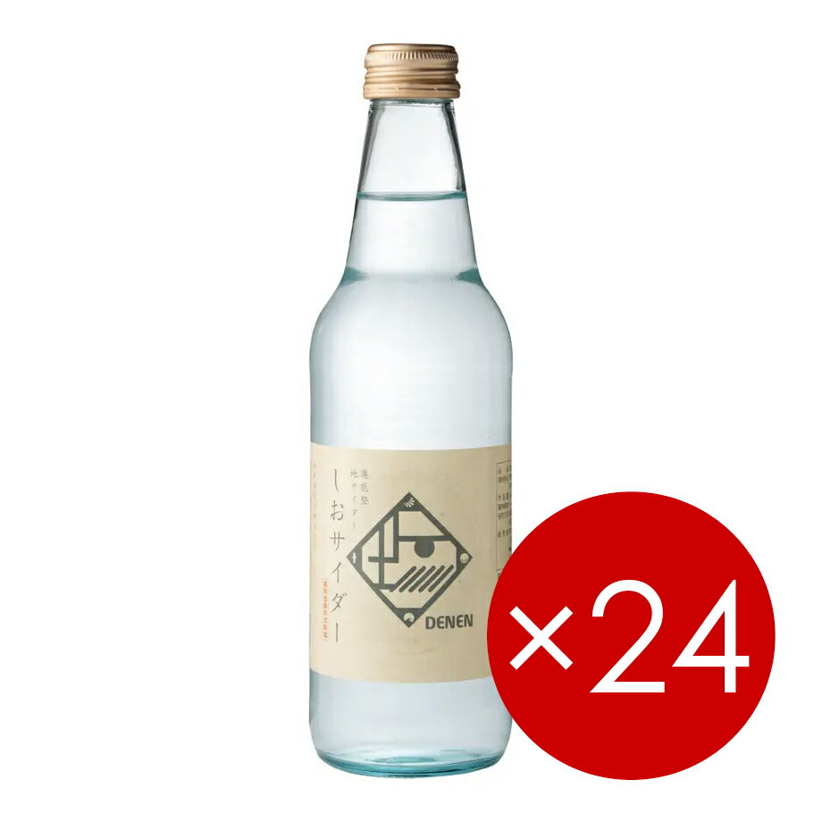 【24本(1ケース)】奥能登のしおサイダー(塩サイダー)340ml※ガラス瓶