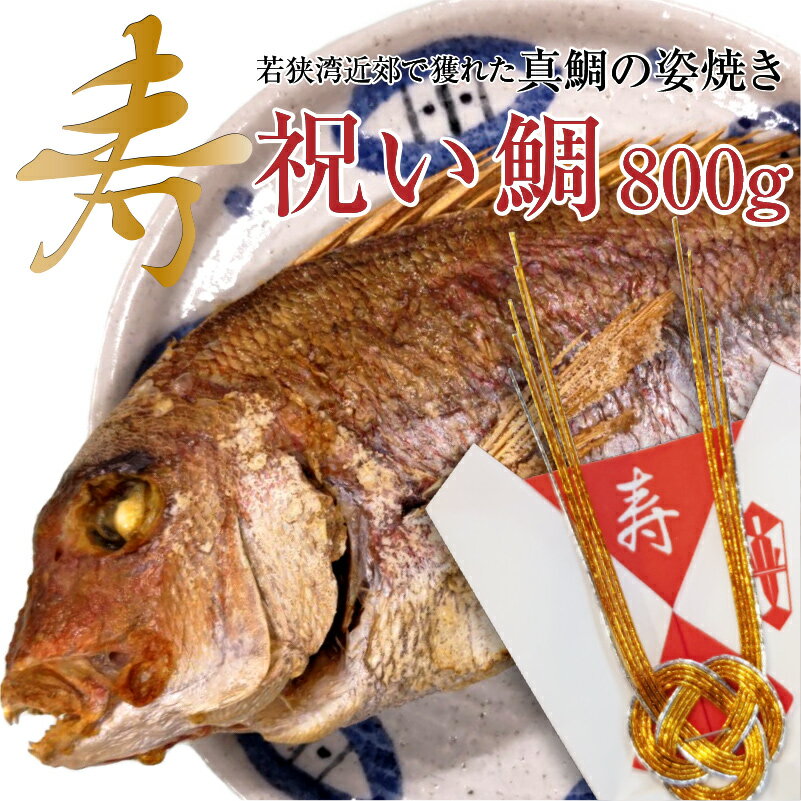 ギフト対応 祝鯛 大（約800g）若狭湾で水揚げされた真鯛を焼き上げてお届け 祝い鯛【NE】