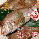 【お食い初め 鯛】祝い鯛 約400g〜800g 祝い飾り付き 若狭湾で水揚げされた真鯛を焼き上げてお届け 送料無料 福井 【NE】