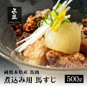 馬すじ 500g 馬すじ煮込み用 熊本 専門店純国産 送料無料 桜肉 冷凍 高級グルメ お取り寄せ 馬肉 グルメ パーティ 家飲み 宅飲み ヘルシー 低脂肪 馬匠 ギフト お祝い BBQ バーベキュー キャンプ