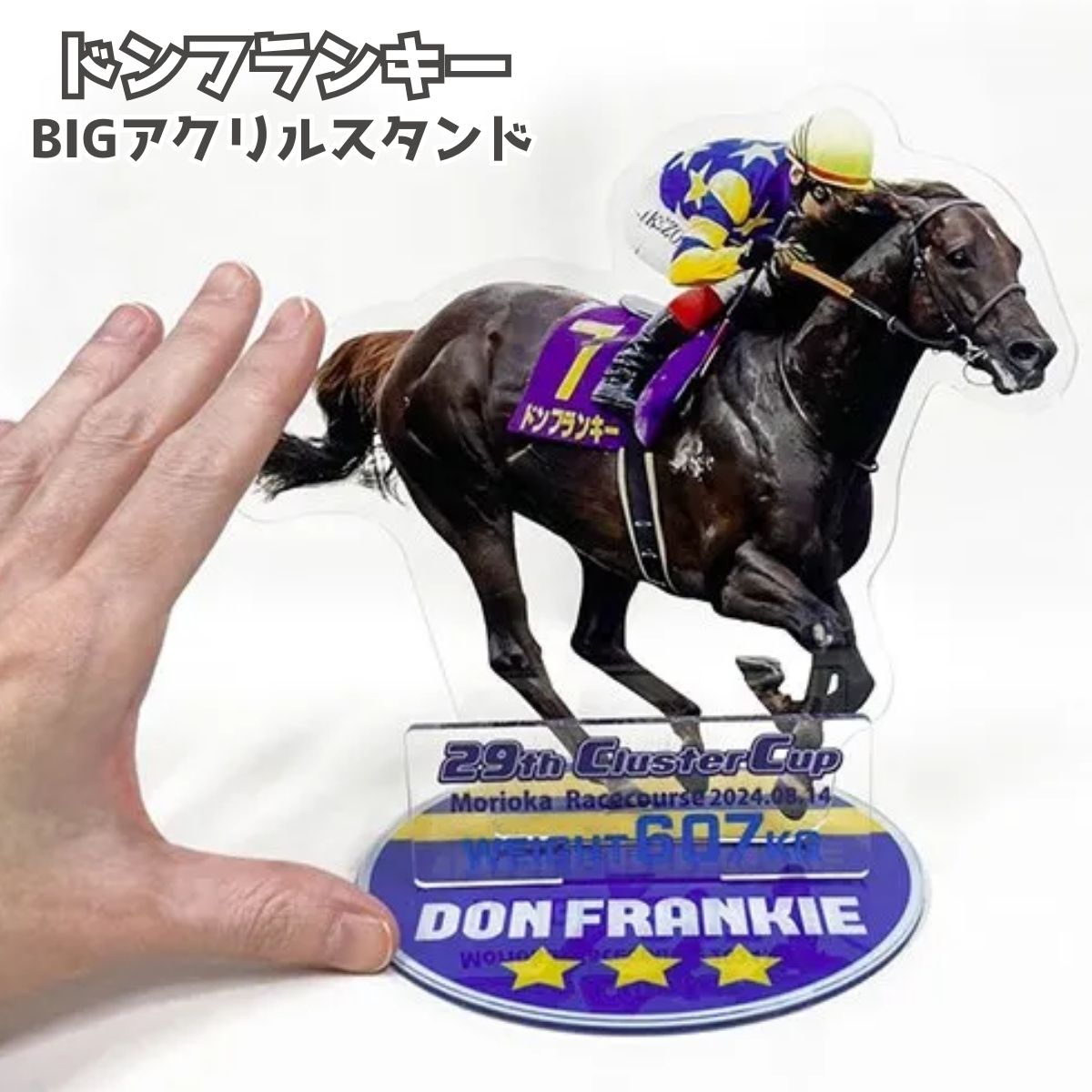 Rakuten - 【ドンフランキー アクリルスタンド】 馬site アクスタ 競馬 グッズ 推し活 コレクション サラブレッド キーホルダー