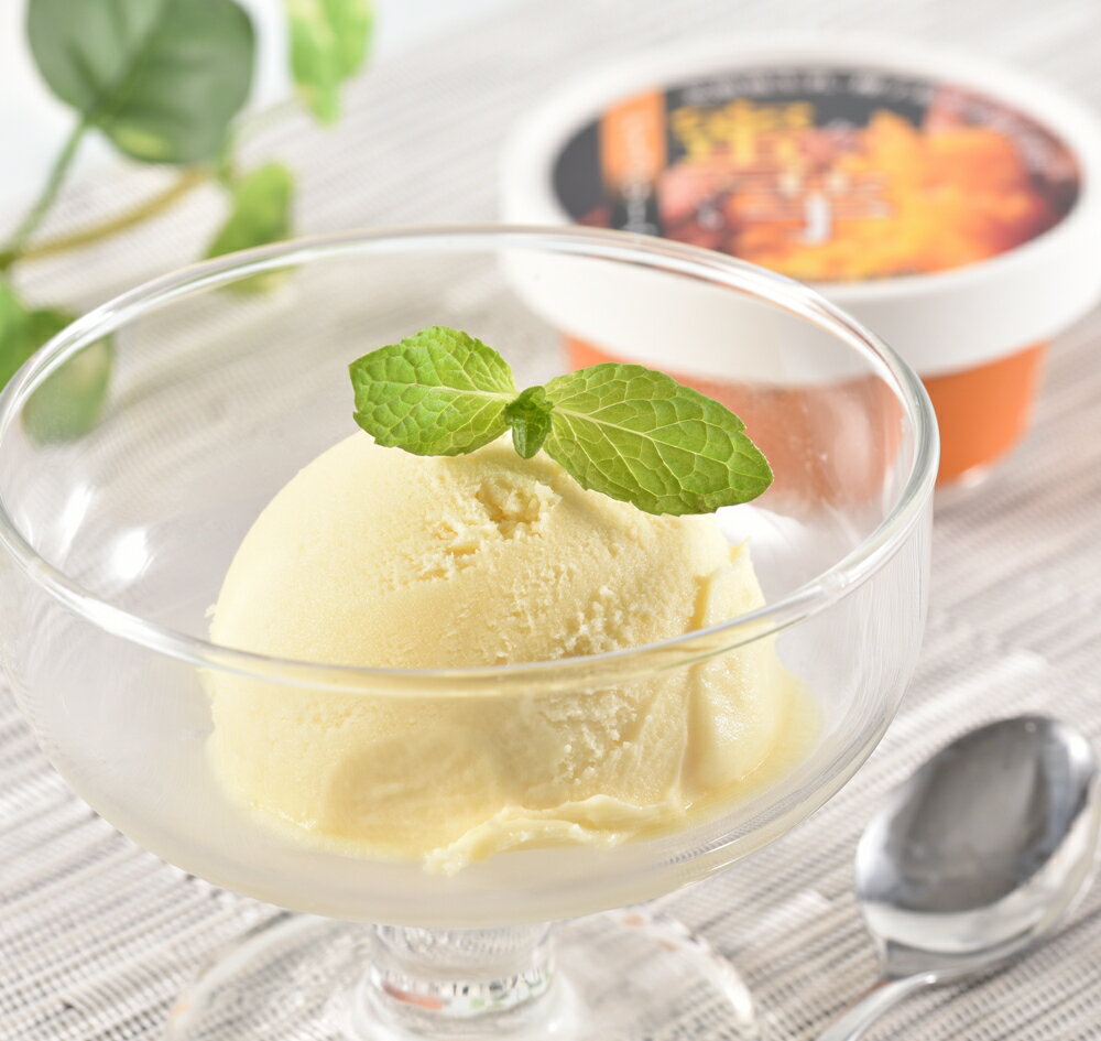 北海道産生乳・種子島産安納芋使用　蜜芋アイスクリームI 1003-070054