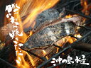 送料無料! 高知県 沖の島水産 かつお わら焼きたたき2節(計約600g)セット(冷凍便)