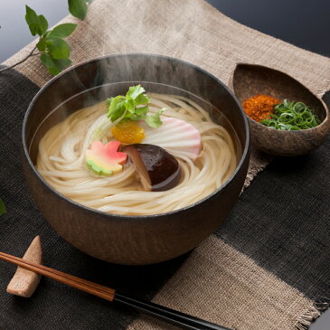 うどん 海津屋 富山 氷見うどん 細めん 贈答用 つゆセット　#102