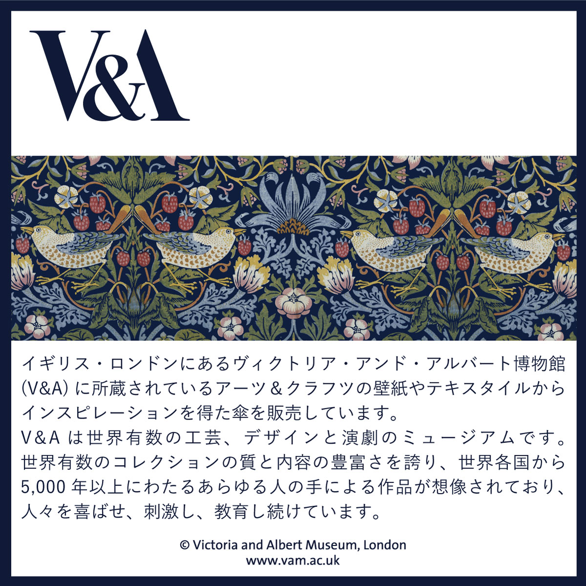 日傘 晴雨兼用 レディース 婦人傘 日本製 V...の紹介画像2