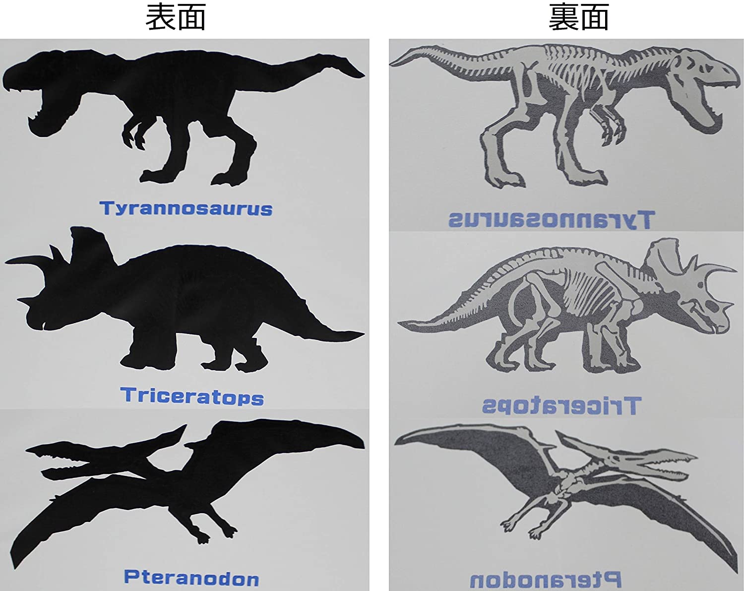 恐竜柄