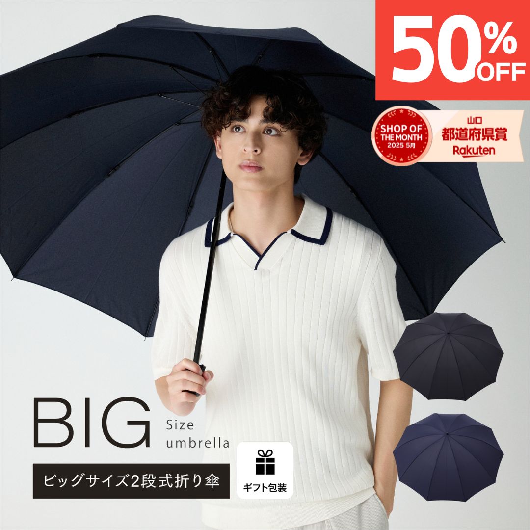 【スーパーセール50%OFF】【アルファベット無料名入で世界に一つだけの傘】【送料無料】折りたたみ傘 メンズ プレゼント ギフト 誕生日メッセージカード 大きい 65cm 2段式 丈夫 風に強い 10本骨 無料包装 お祝い ギフト 合わせやすい テフロン 撥水 旅行 紳士傘 丈夫な傘