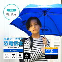 【アルファベット無料名入】【送料無料】折りたたみ傘 キッズ 安全 反射テープ ミニ傘 ランドセルに入れても軽い 約195g かっこいい 恐竜柄 撥水 50cm ...