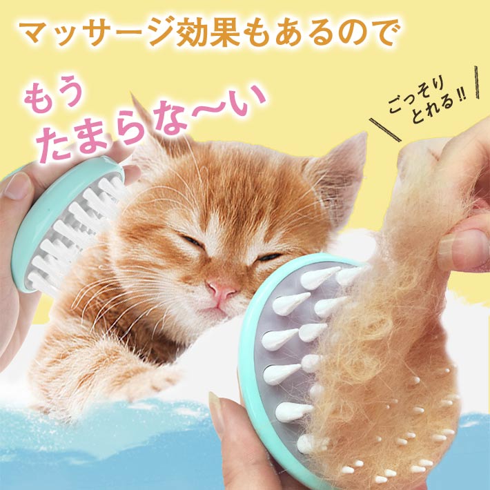 ��С��֥饷 �ڥå��� �����ס��֥饷 �� ǭ �� ����3���顼�ۥ����Ǻ�Ǥ䤵�������å� �ͥ������ ������� �Τ�������ˢ�