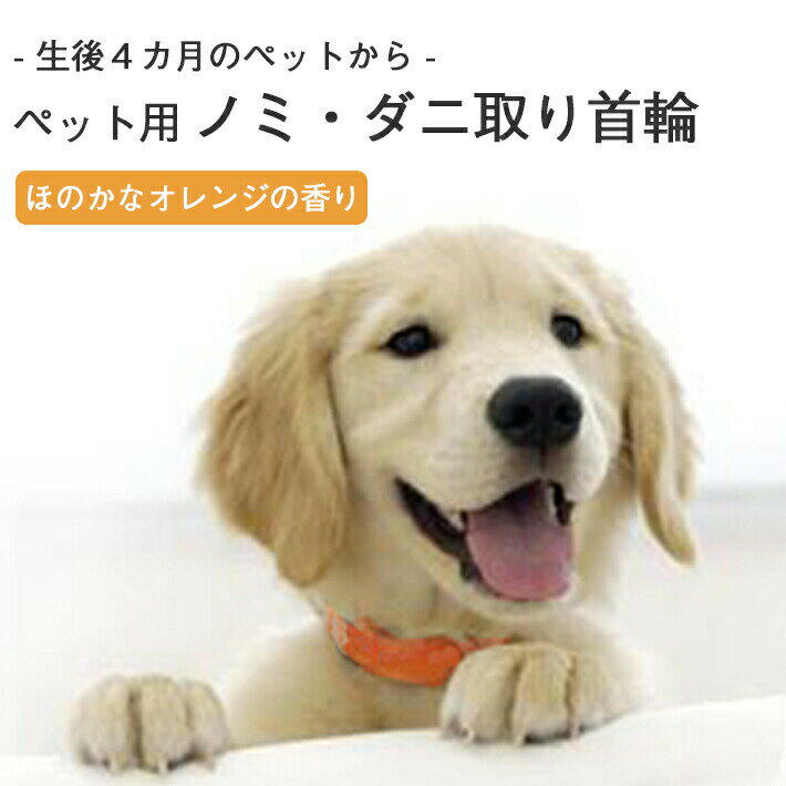 ノミ取り ダニ取り 首輪 ペット用 【猫用 小型犬用 大型犬用 全3タイプ】ネコちゃん ワンちゃんが嫌がらない ほのか…