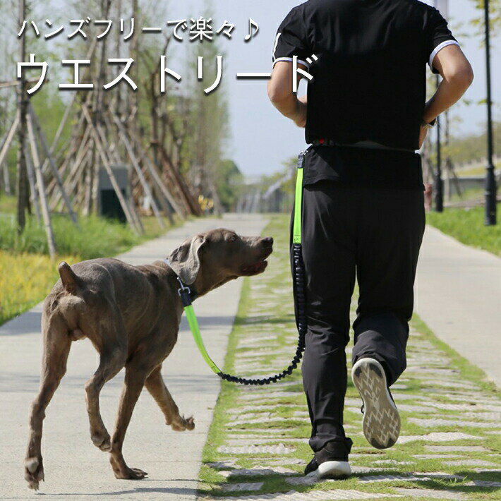 樂天商城 - 犬 ペット用 腰ベルト付き ハンズフリー リード 1m 【腰に固定♪手ぶらOK】犬用 反射板付き 持ち手付き 衝撃吸収素材 ドッグ リード ウエスト リード