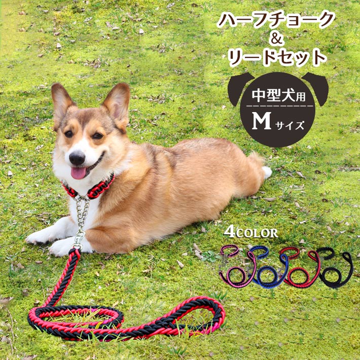 中型犬 首輪 ハーフチョーク （リード付き）【全4色】Mサイズ 丈夫な編み紐・チェーンタイプ
