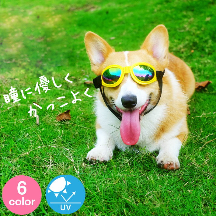 【あす楽】 UVカット サングラス Pet Leso 【Bタイプ】 各4色 メガネ ゴーグル アクセサリー 小型犬 犬屋