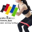 エクササイズ チューブ リング ショート 60cm【負荷別 5本セット 約2.2Kg〜約18Kg】トレーニングバンド リングバンド