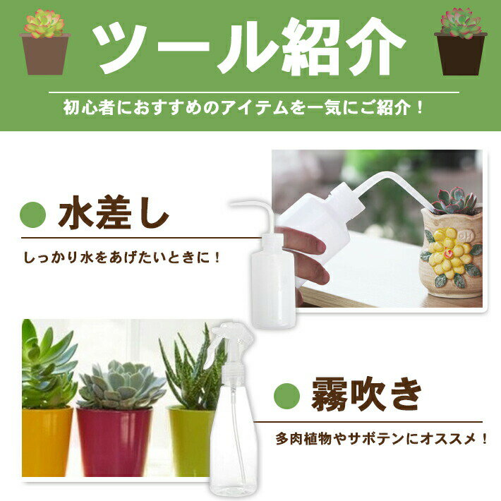 �����ǥ˥󥰥��å� �ġ��� 13������2���ۥ���٥� ̸�᤭ �ϥ��� �ߥ˥졼�� �ϥ� �ܿ��ġ��� ƻ�� ����������