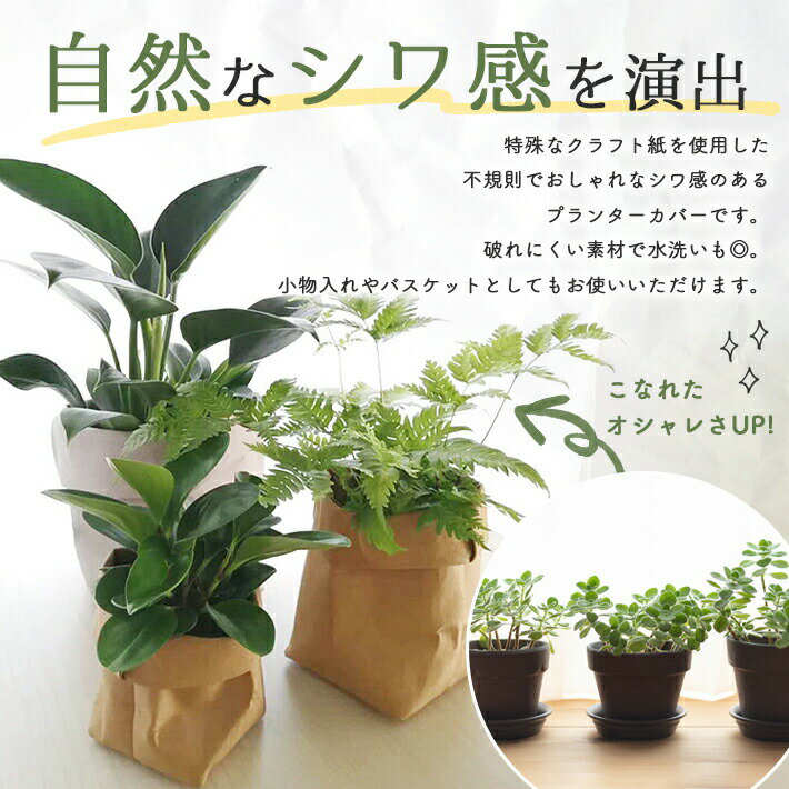 鉢カバー クラフトペーパー 洗える【Lサイズ 凡そ6号対応】【全4色】 プランターカ...