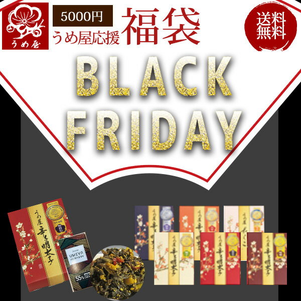 【送料無料】【限定30個】ブラックフライデー協賛　5000円福袋【明太子 復興支援 うめ屋 福岡 ギフト お取り寄せグルメ 食品 食べ物 贈り物　内祝　贈答　辛子明太子 たらこ 無着色 めんたいこ 切子】【12月27日～1月27日の間に発送予定】