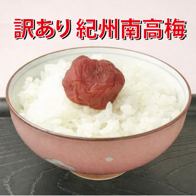 ちょっとだけうす塩梅1000g【500g×2個】塩分約17-18％訳あり 紀州南高梅