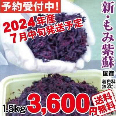 予約受付 7月中旬発送予定 2024年産 新もみ紫蘇 しそ 