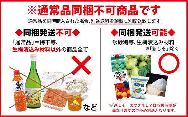 予約販売 【 訳あり キズあり 青梅 】 5kg 送料無料 紀州みなべ産 生梅 キズあり青梅 梅酒・梅ジュース用 梅の実の大きさ L・2L 混 紀州 南高梅 和歌山 南高 青梅 産地直送 2