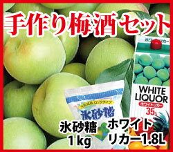 【予約販売・送料無料】 「手作り梅酒セット」紀州南高梅・青梅1kg【大粒以上】氷砂糖1kg・ホワイトリカー【限定100セット】