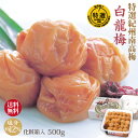 送料無料特選 紀州南高梅 梅干 白龍梅 500g 化粧箱 塩分約12% 自家農園産 大粒 南高梅 和歌山 みなべ産 梅干し 包装 お中元 お歳暮 お年始 ギフト(4)