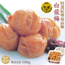 特選 紀州南高梅 みなべ産 梅干白龍梅 500g 簡易包装塩分約12% 自家農園産 大粒 南高梅和歌山 みなべ 梅干し