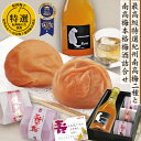 送料無料 敬老 ギフト 紀州 南高梅 梅酒 りゅう「ryu」と 最高級 特選 紀州 南高梅 2種 詰合 軽やか 味わい梅酒 300m 特別大きな はちみつ梅 健...