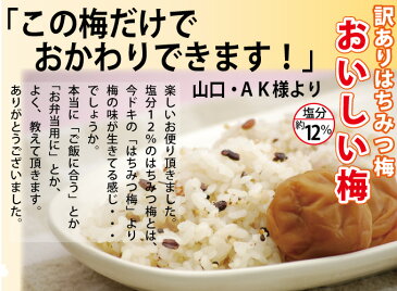 送料無料 訳あり 紀州南高梅おいしい梅 つぶれ 300g詰家庭用はちみつ梅塩分12% 簡易包装和歌山 みなべ産梅干し 梅干 梅 うめ・メール便(ゆうパケット)同梱不可 日時指定不可