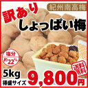 送料無料 訳あり南高梅 しょっぱい梅 5000g (訳あり 白干梅) 簡易包装 塩分約22％紀州南高梅 和歌山 みなべ 自家梅園産 梅干 梅 うめ