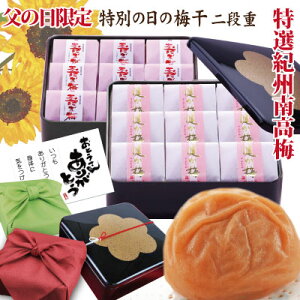 送料無料 ギフト 特別の日の梅干 二段重 紀州の長寿梅 高級和紙包み梅 「健か梅」「寿ぎ梅」高級黒重箱 風呂敷包み 特選 極上 紀州南高梅 和歌山 みなべ産 梅干し 梅干 うめ 健康 自家梅園産 選べる 風呂敷 お中元 敬老