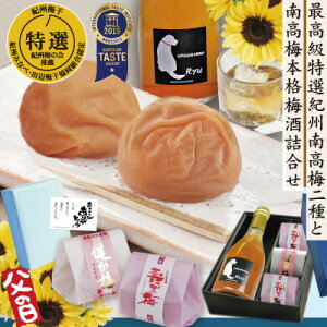 送料無料 父の日 ギフト 紀州 南高梅 梅酒 りゅう「ryu」と 最高級 特選 紀州 南高梅 2種 詰合 軽やか 味わい梅酒 300m 特別大きな はちみつ梅 健か梅 1包・寿ぎ梅 2包 和紙包 和歌山 みなべ 自家梅園産 梅酒 梅干し 梅干 梅 うめ