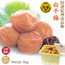 送料無料 特選 紀州 南高梅 白干梅 5kg 簡易包装 塩分約22% 自家農園産 和歌山 みなべ 梅干し 保存食 熱中症対策