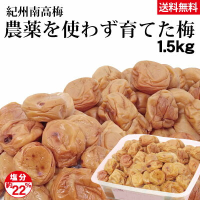 送料無料紀州南高梅 赤穂の天塩使用農薬を使わず育てた梅 1.5kg 簡易包装 塩分約22%体に優しい 安心の梅干 梅とお塩…