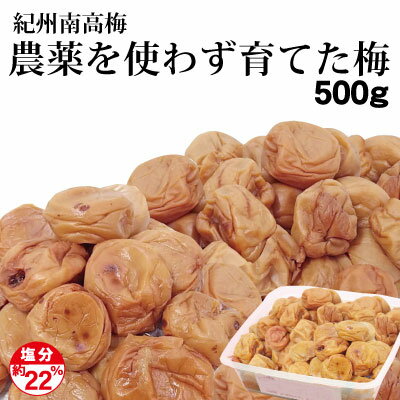 紀州南高梅 赤穂の天塩使用農薬を使わず育てた梅 500g 簡易包装 塩分約22%体に優しい 安心の梅干 梅とお塩の素朴な梅…