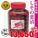 送料無料 特選 紀州南高梅 みなべ産 梅干しその葉漬 4kg 瓶詰(大瓶) 塩分約14%自家農園産 大粒 南高梅和歌山 みなべ 梅