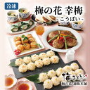 梅の花 送料無料 幸梅-こうばい-≪冷凍≫【楽ギフ_のし】【