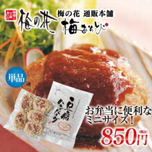 梅の花 グルメ バレンタイン 惣菜セット お祝い 内祝い ご卒業 ご入学 ギフト 湯葉 豆腐 梅の花ミニ 豆腐 ハンバーグ (5個入) ≪冷凍≫卵・乳 不使用