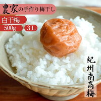 【白干梅】【500g】【3L】 梅干し 南高梅 紀州南高梅 白干梅 昔ながらの梅干し しょっぱい梅干し 酸っぱい梅干し 無添加 無添加梅干し 農家手作り 手作り 産地直送 お歳暮 お中元 ギフト贈り物 年末ギフト 包装対応 のし対応 敬老の日【楽ギフ_包装】【楽ギフ_のし】