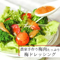 【梅ドレッシング】【140g】うめドレッシング 農家 農家手作り 梅農家 100% うめ 梅 ドレッシング 冷しゃぶ ディップ 産地直送 紀州 南高梅 紀州南高梅 梅干し 梅干 和歌山県産 手作り【楽ギフ_包装】