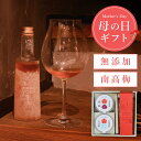 【母の日限定 ギフト】無添加 梅干しウォッカ天然塩だけで漬けた甘くない昔ながらのすっぱい梅干しと紀州南高梅ウォッカ梅酒のギフトセットby 梅ボーイズ お歳暮 赤...