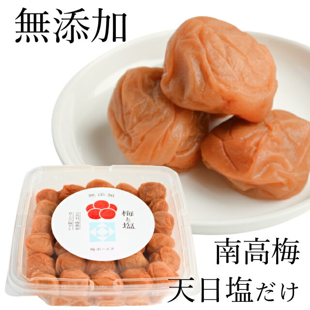 【ふるさと納税】紀州小梅 幸梅漬小梅 350g（塩分約10％） / 田辺市 紀州南高梅 南高梅 梅干し 梅干 梅 うめ 肉厚 お米 おにぎり 焼酎 梅酒 健康