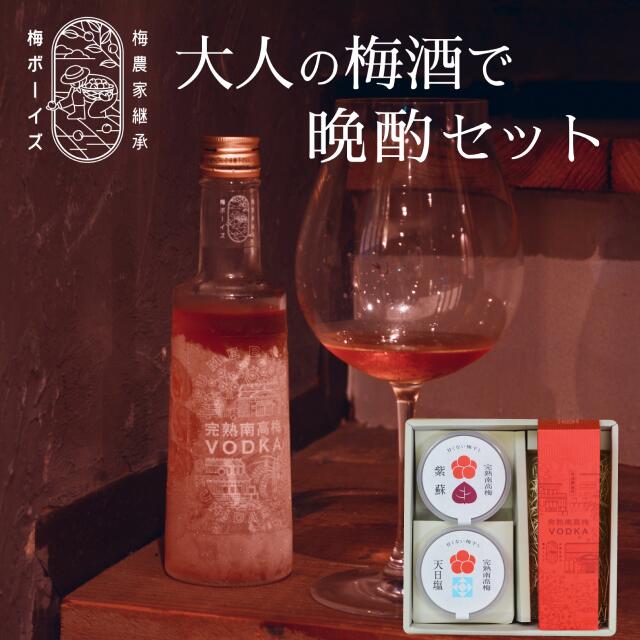無添加 梅干しウォッカ天然塩だけで漬けた甘くない昔ながらのすっぱい梅干しと紀州南高梅ウォッカ梅酒のギフトセットby 梅ボーイズ お歳暮 赤紫蘇 着色料不使用 天日塩 自然塩 和歌山県産 国産 送料無料