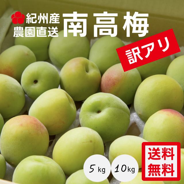 商品情報名称梅原材料名南高梅内容量1kg/2kg/5kg/10kg消費期限4日保存方法追熟させる場合は、風通しのよい場所で常温で。追熟させない場合は、冷蔵庫に保管のうえお早めに漬けてください。製造・販売者株式会社うめひかり 和歌山県日高郡みなべ町晩稲505-1【先着順クーポン】訳あり南高梅 5kg,10kg by梅ボーイズ 青梅 生梅 送料無料 梅シロップ、梅酒、梅味噌、梅エキスにおすすめ！傷があるのでお得になっています。 日本一の梅産地 紀州の農園から、新鮮な南高梅を直送します。・発送時期は5月中旬〜6月上旬です。（※配達日の指定はできません。）お早めのご注文がおすすめです。・1kgは約30粒前後です。（実の大きさによりばらつきがあります。）・実の大きさは、L〜3Lサイズを中心にお届けします。・傷があるためお得になっています。・クール便でお届けします。一年を通して温暖な気候の紀州地域で育った南高梅は、肉厚で大粒、皮は柔らかく、フルーティーな味わい。梅酒、梅シロップ、梅味噌、梅エキスなどにおすすめです。YouTubeで「梅ボーイズ」で検索すると、梅酒や梅シロップの漬け方をわかりやすく解説した動画をご覧いただけます。 8