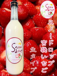 イチゴ-生